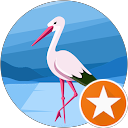 Emine A. profile picture