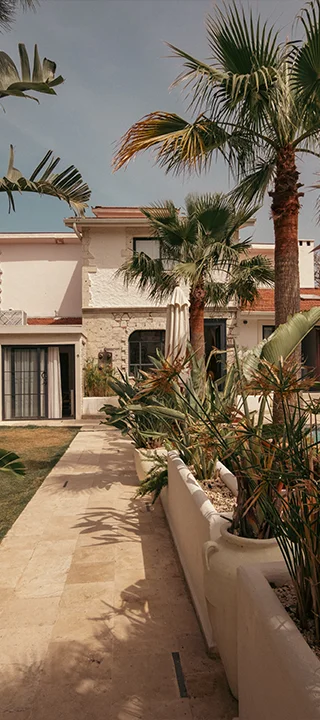 Bahçe - Art Alaçatı